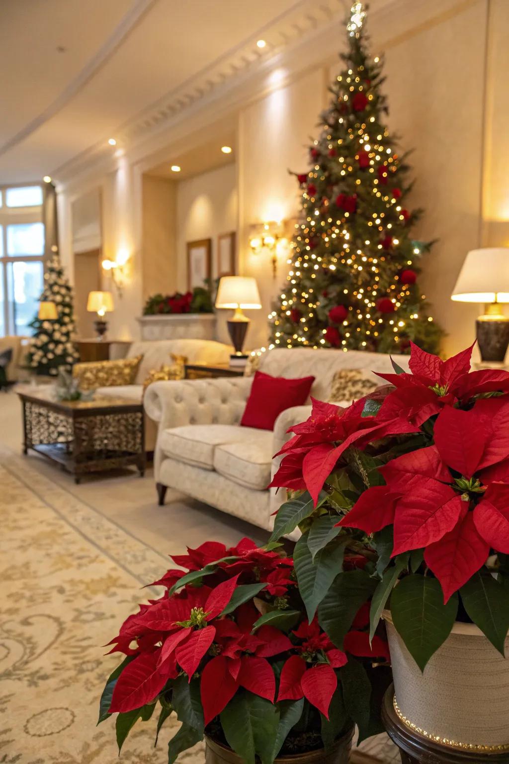 Poinsettias add a vibrant touch to any festive setting.