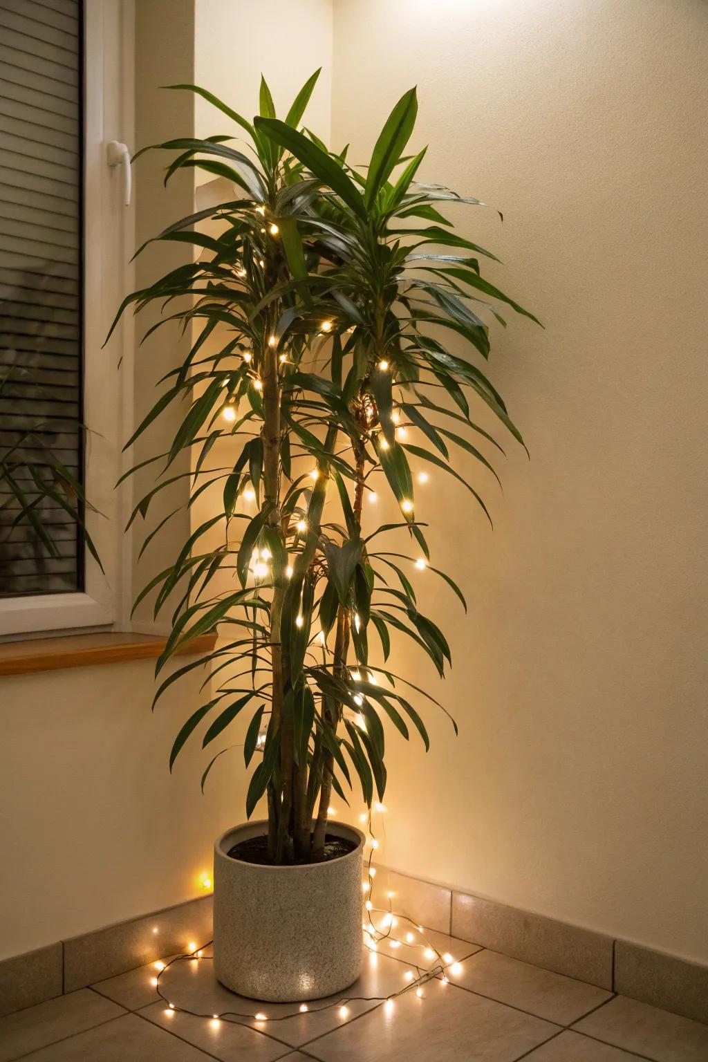 Add a whimsical touch to your floor plants with string lights.