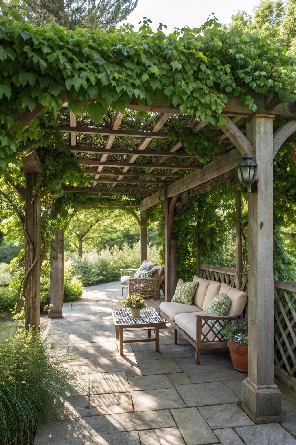 A classic wooden pergola with climbing vines adds natural charm and shade.