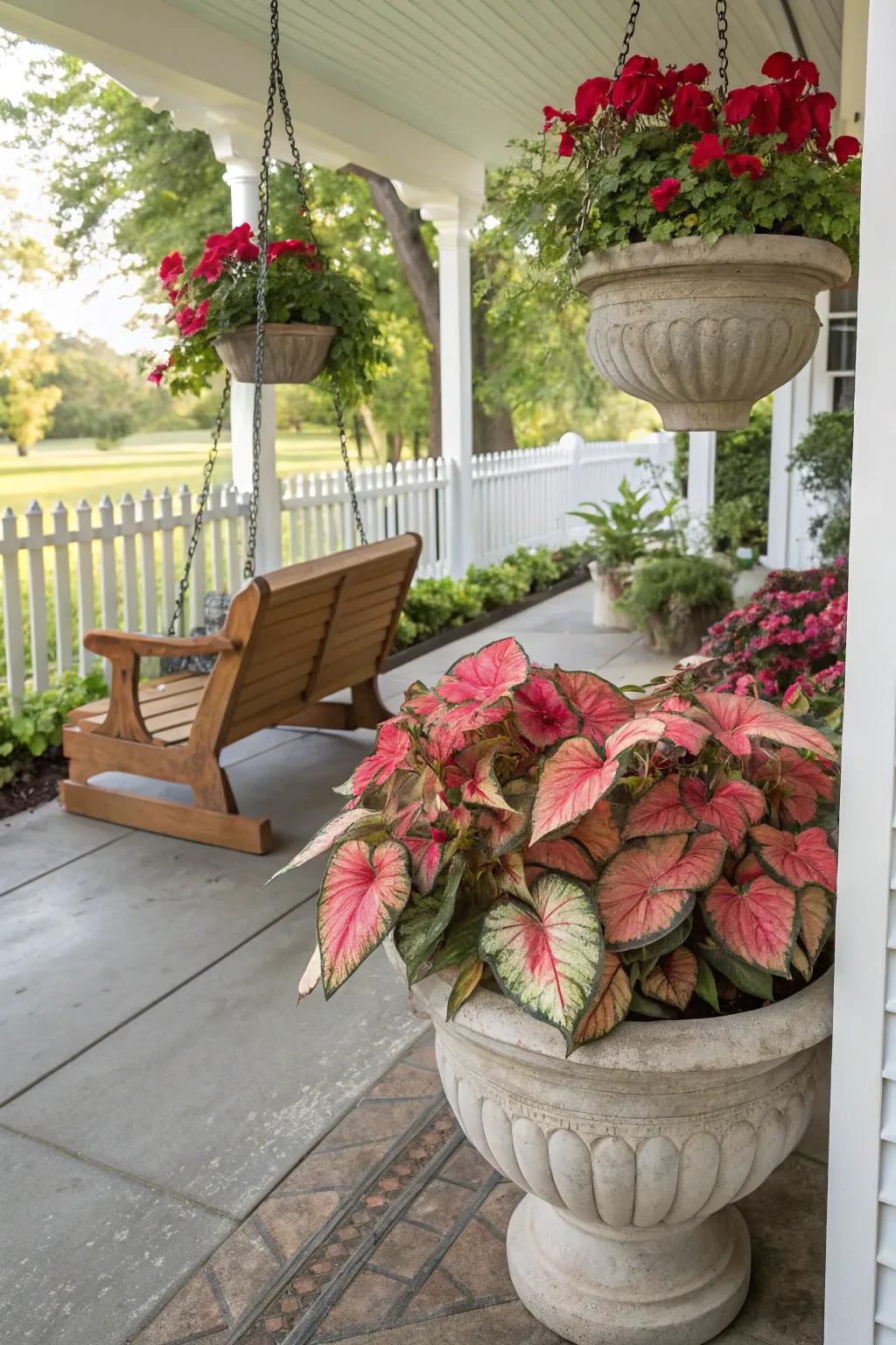 Colorful caladiums create a striking focal point.