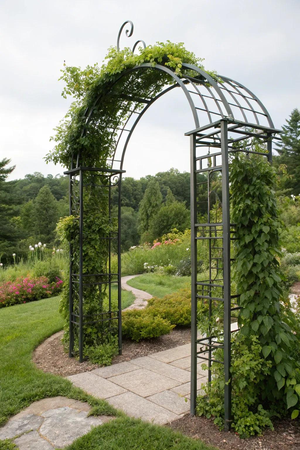 Metal arch trellises bring sophistication to your garden.