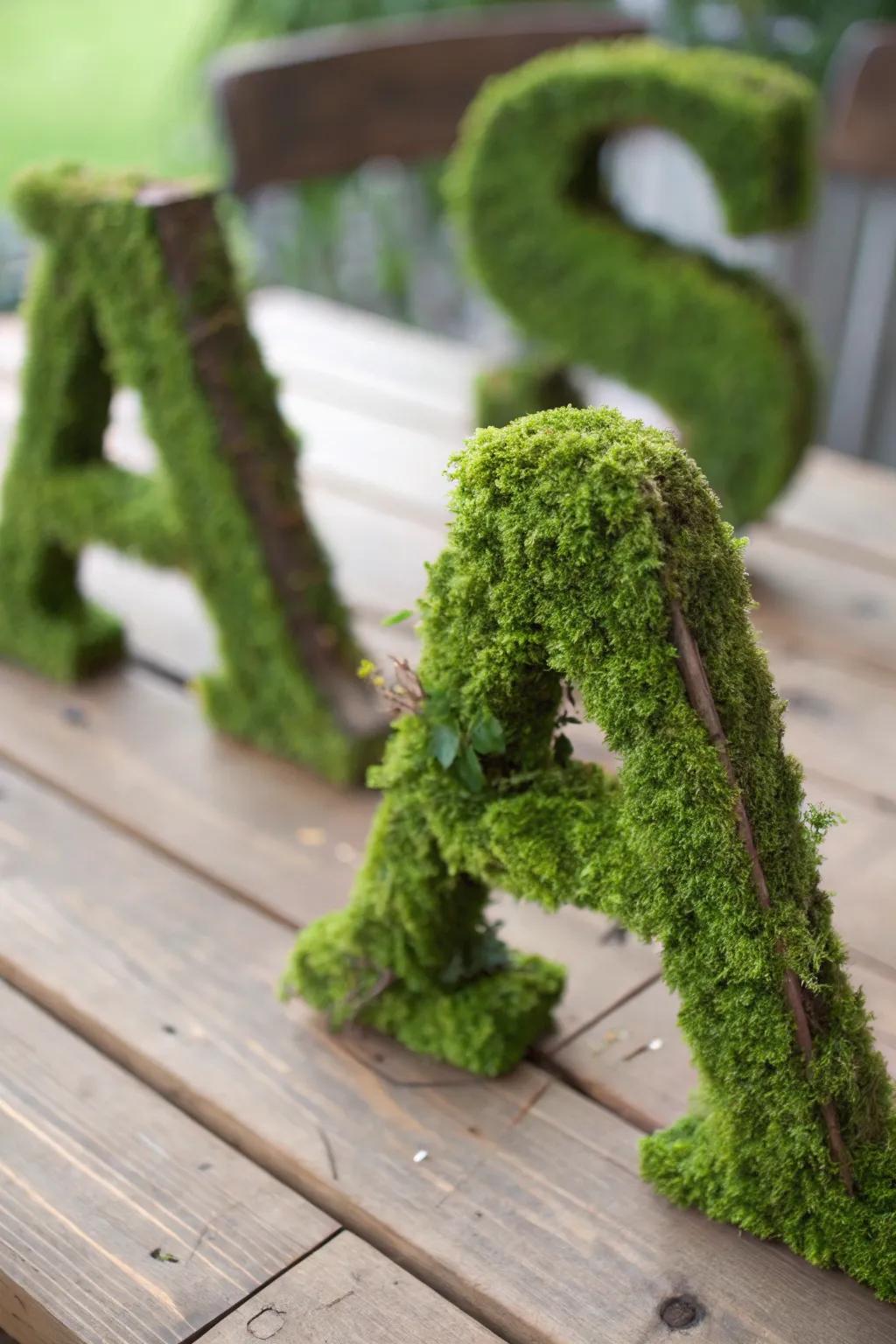 Personalized decorative letters adorned with java moss, perfect for home decor.