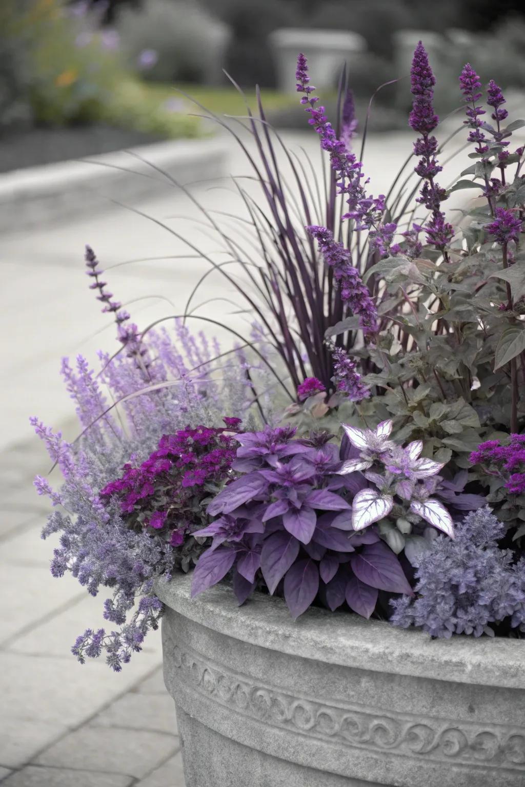 Monochrome magic adds sophistication to your fall planters.