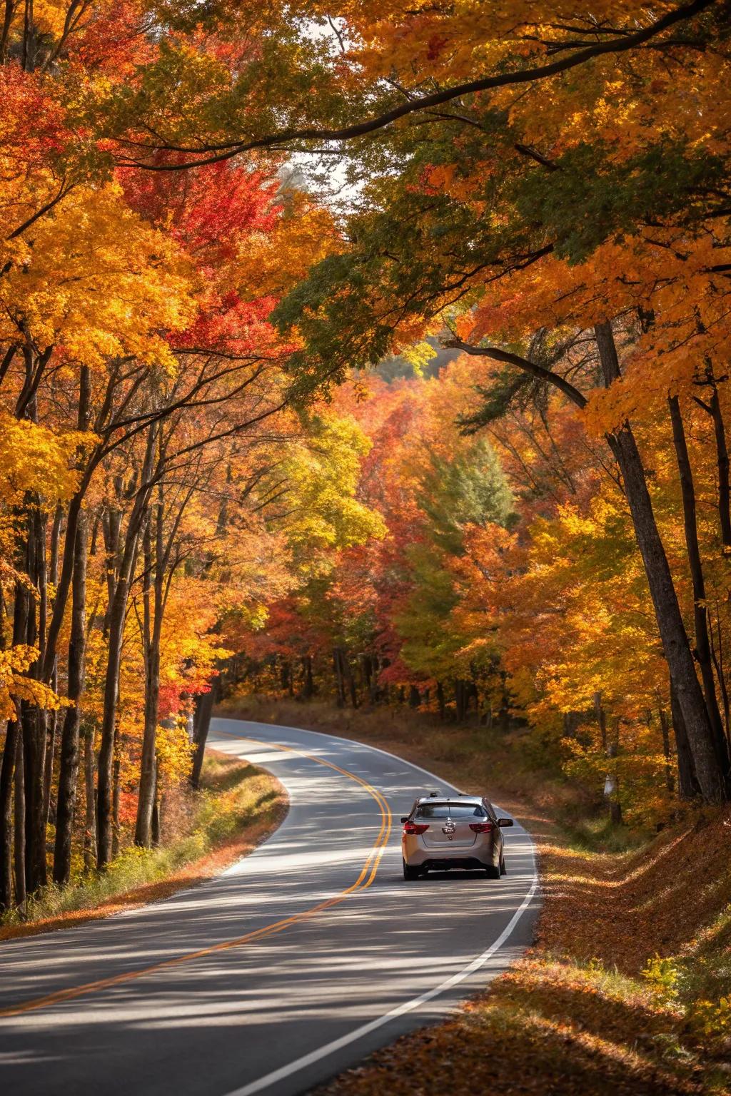 Capture the breathtaking colors of fall on a scenic drive.