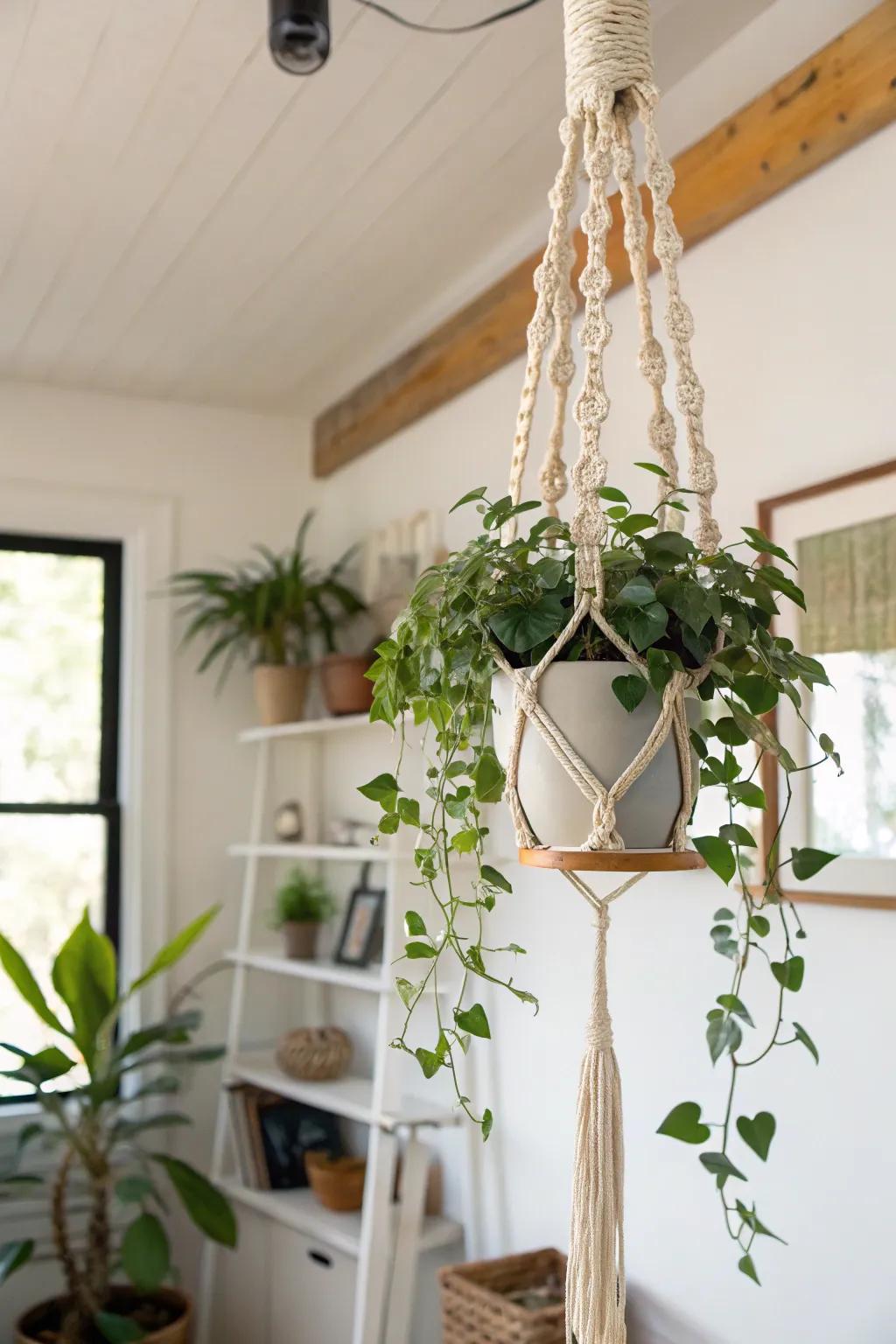 Boho vibes: macramé and vines in a watering can planter.