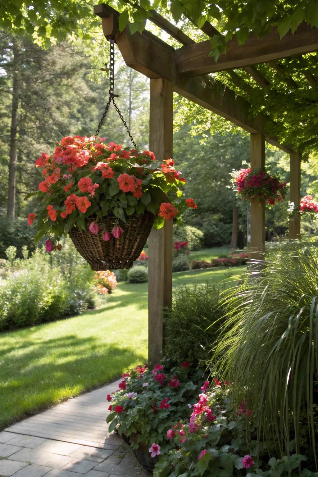 Houseplants enjoy a summer vacation outdoors.