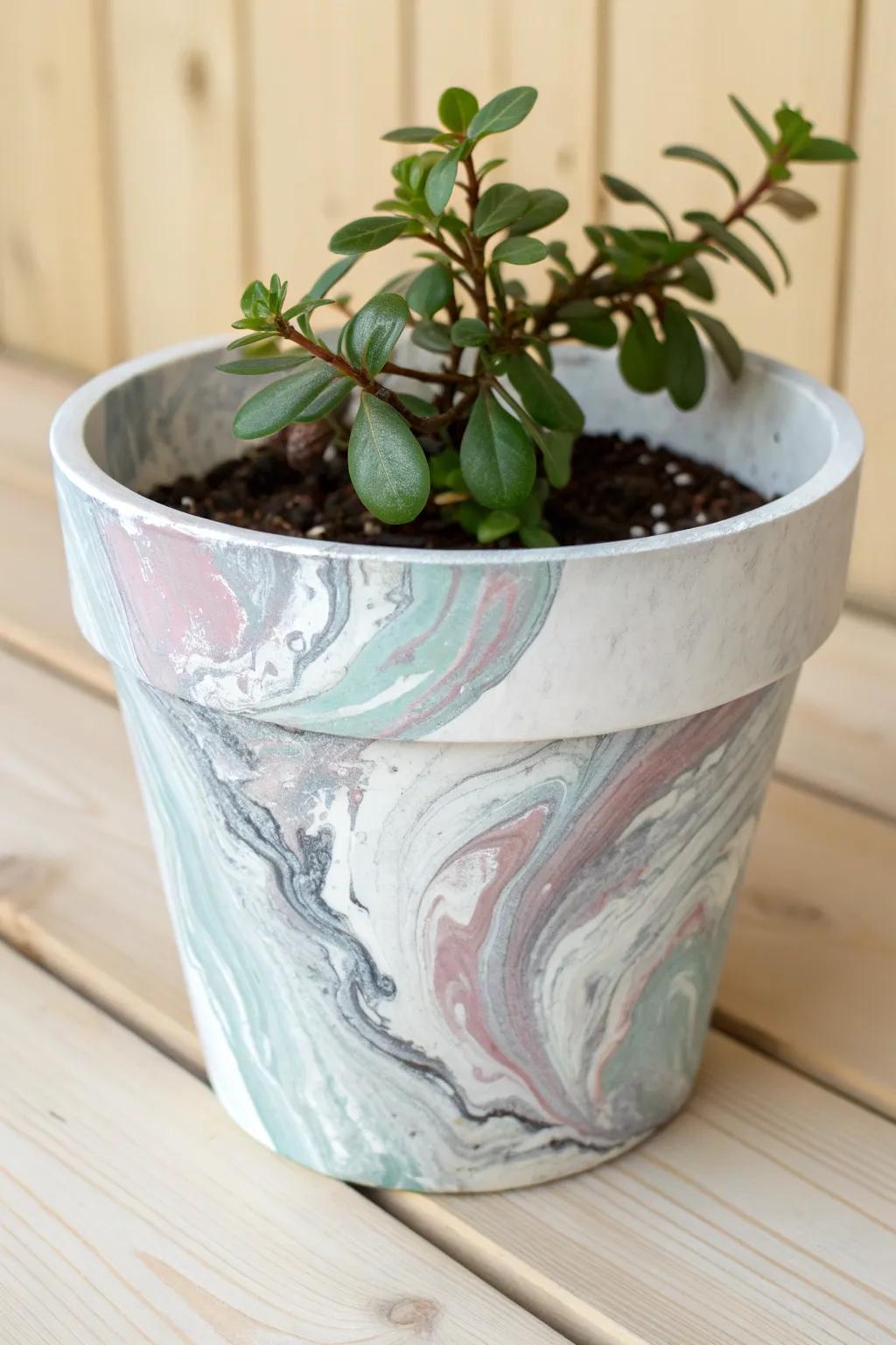Transform your garden with a touch of marbled elegance. Discover the art of spray paint marbling for a chic, minimalist look.