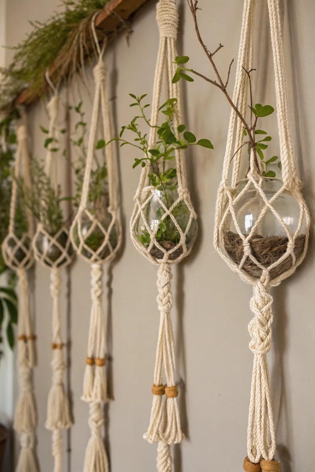 Macramé plant holders provide a bohemian touch to the propagation wall.