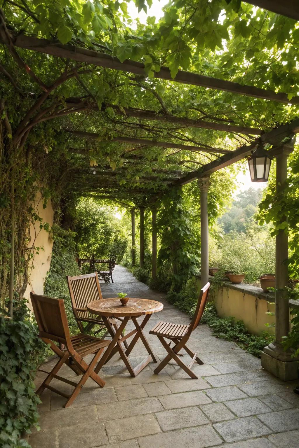 Trellises with climbing vines create a dynamic living privacy screen.