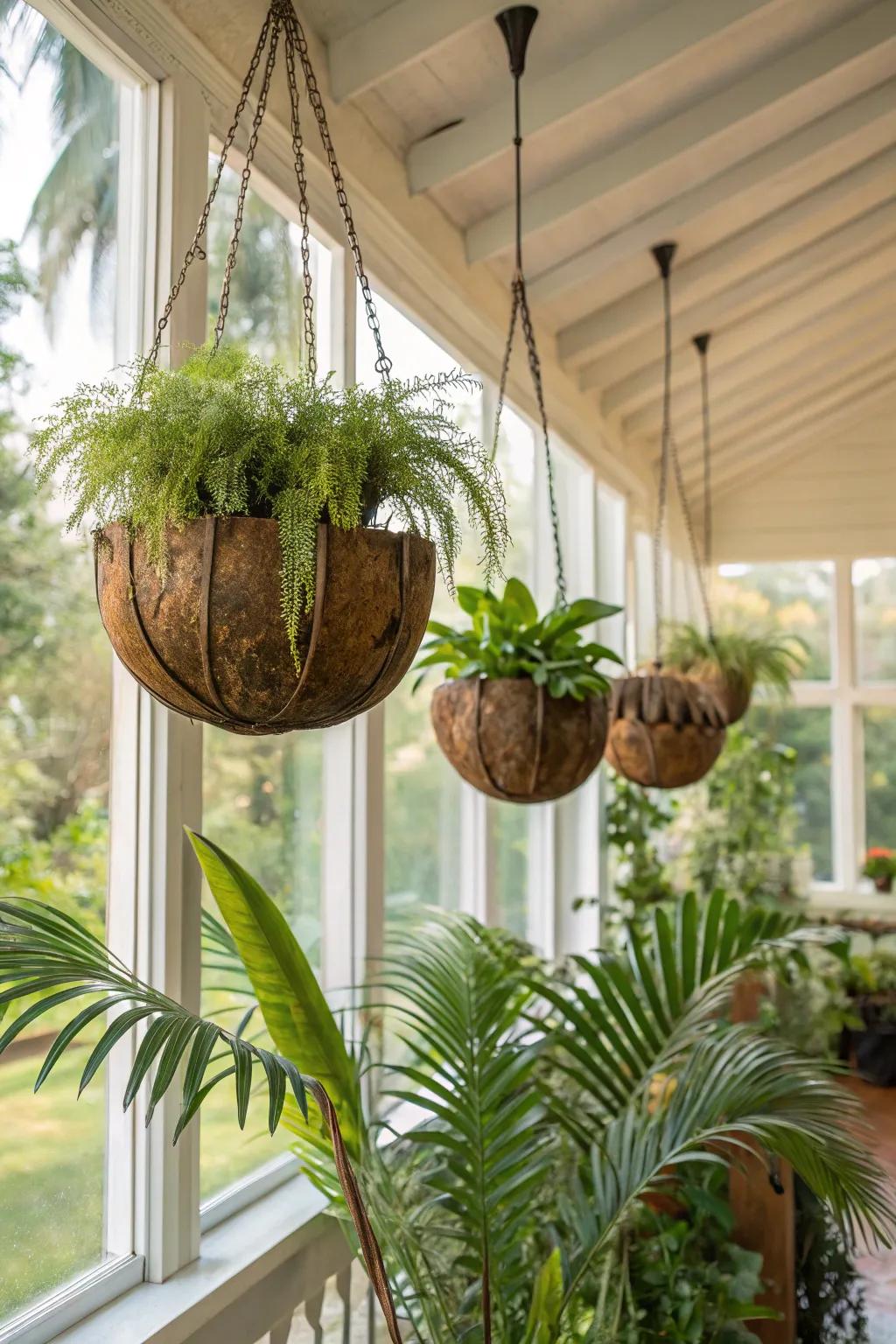 Coconut shells offer a tropical touch to your hanging garden.