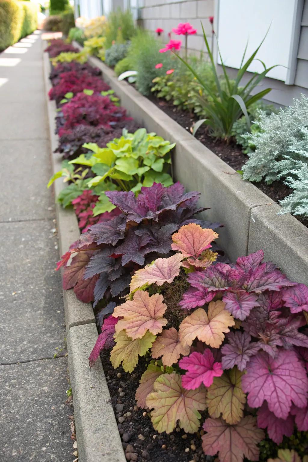 Colorful foliage adds vibrancy and depth to narrow flower beds.