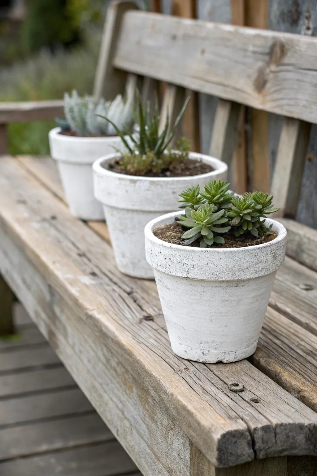 Whitewashing gives plant pots a charming, rustic look.