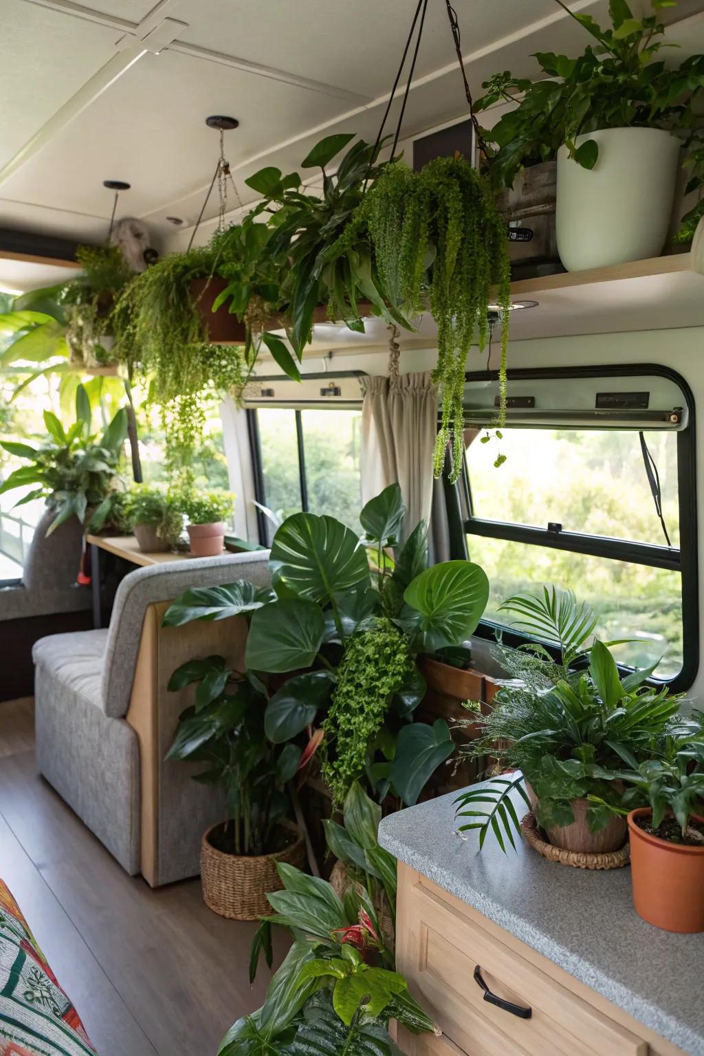 Houseplants bring a refreshing touch of nature to your RV interior.