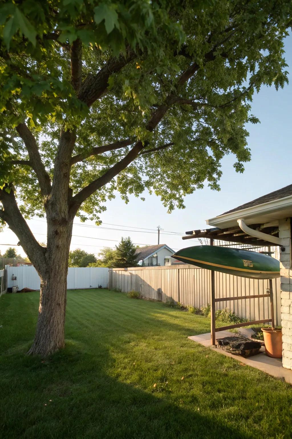 Blend storage with nature using a tree-mounted rack.