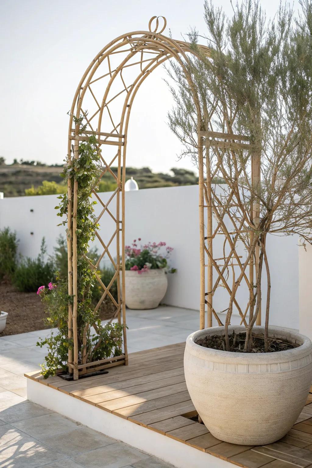 Embrace the beauty of nature with a handcrafted arched willow trellis, the perfect blend of simplicity and elegance for your patio.