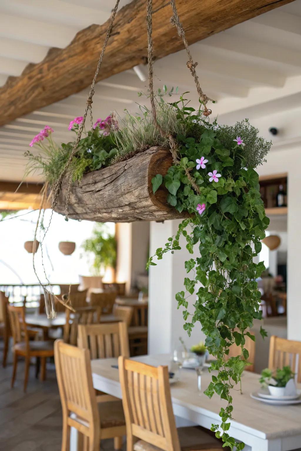 Elegant hanging driftwood planter, enhancing the dining area with greenery.