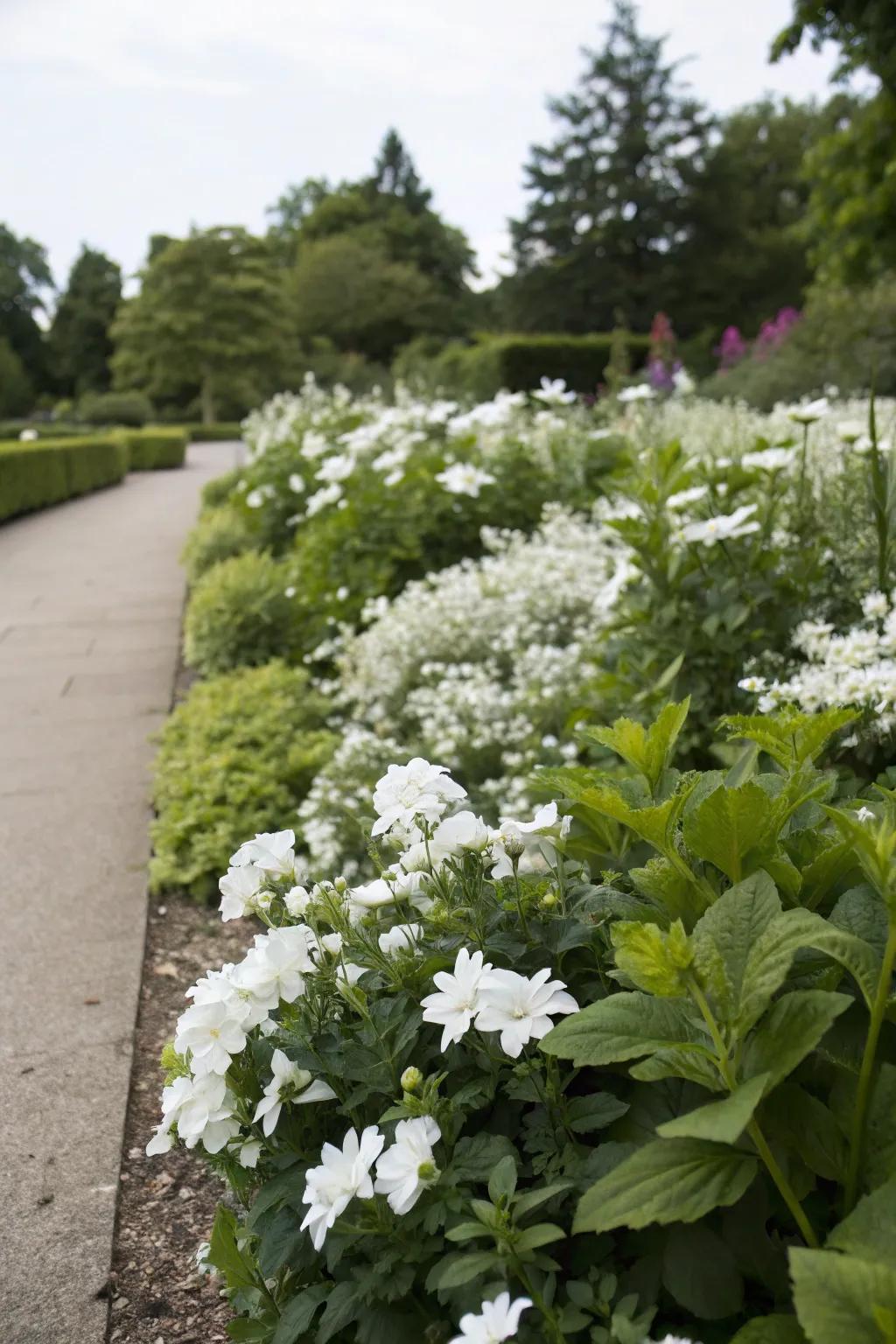 A monochrome flower bed creates a serene aesthetic.