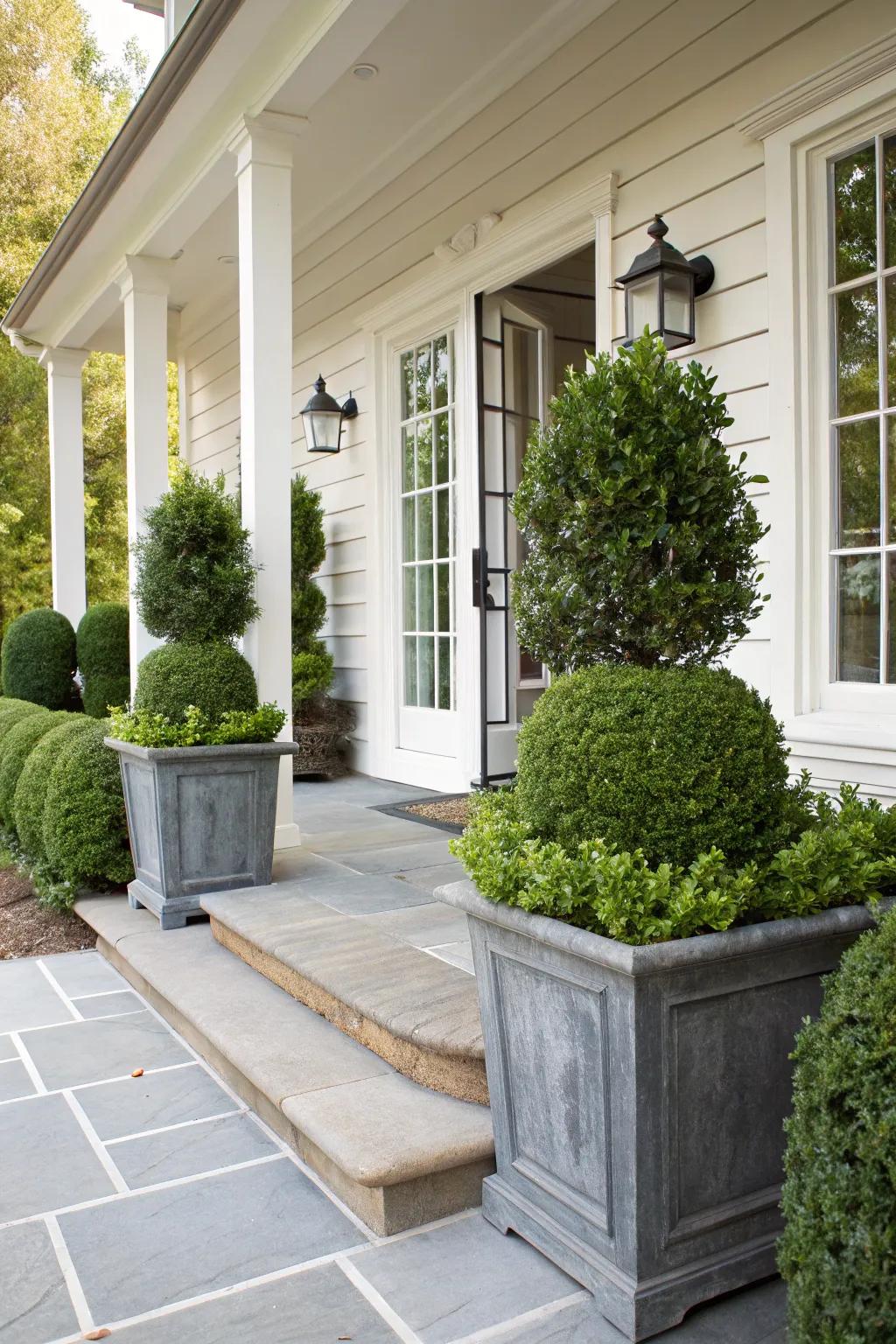 Winter greens with evergreen boxwoods.