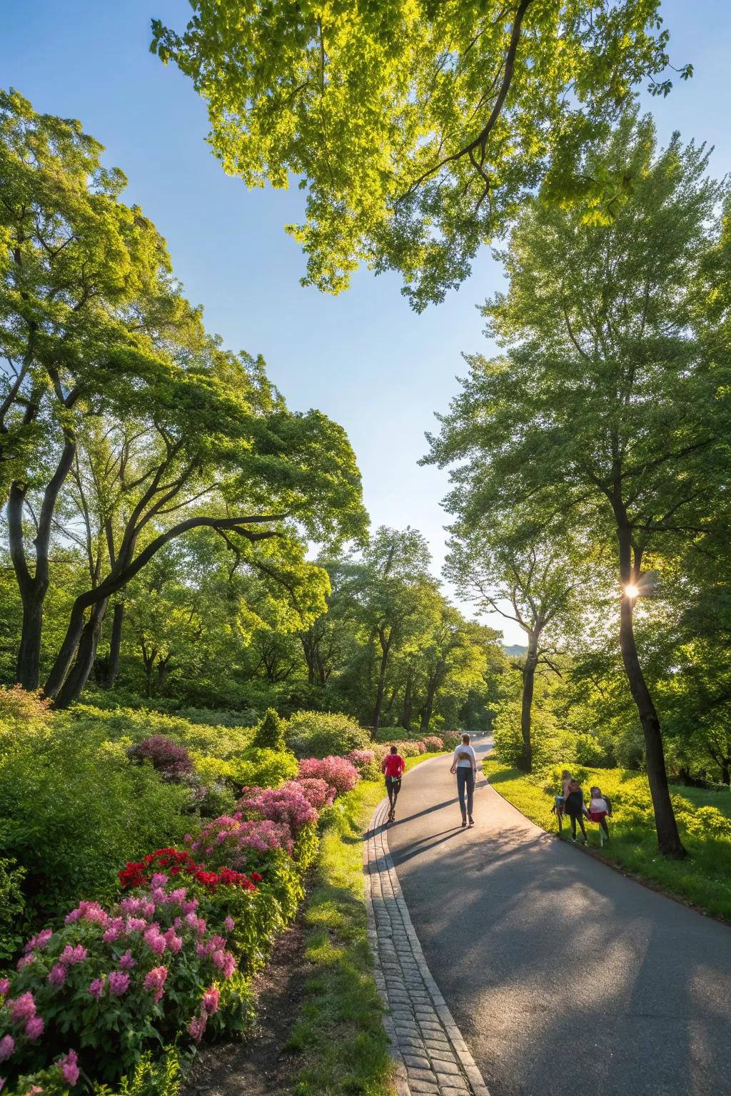 A peaceful scenic walk through a lush park.