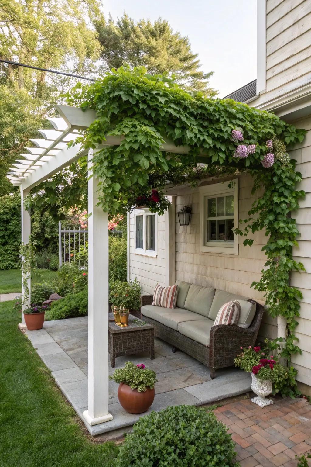 A small space pergola that maximizes limited outdoor areas.