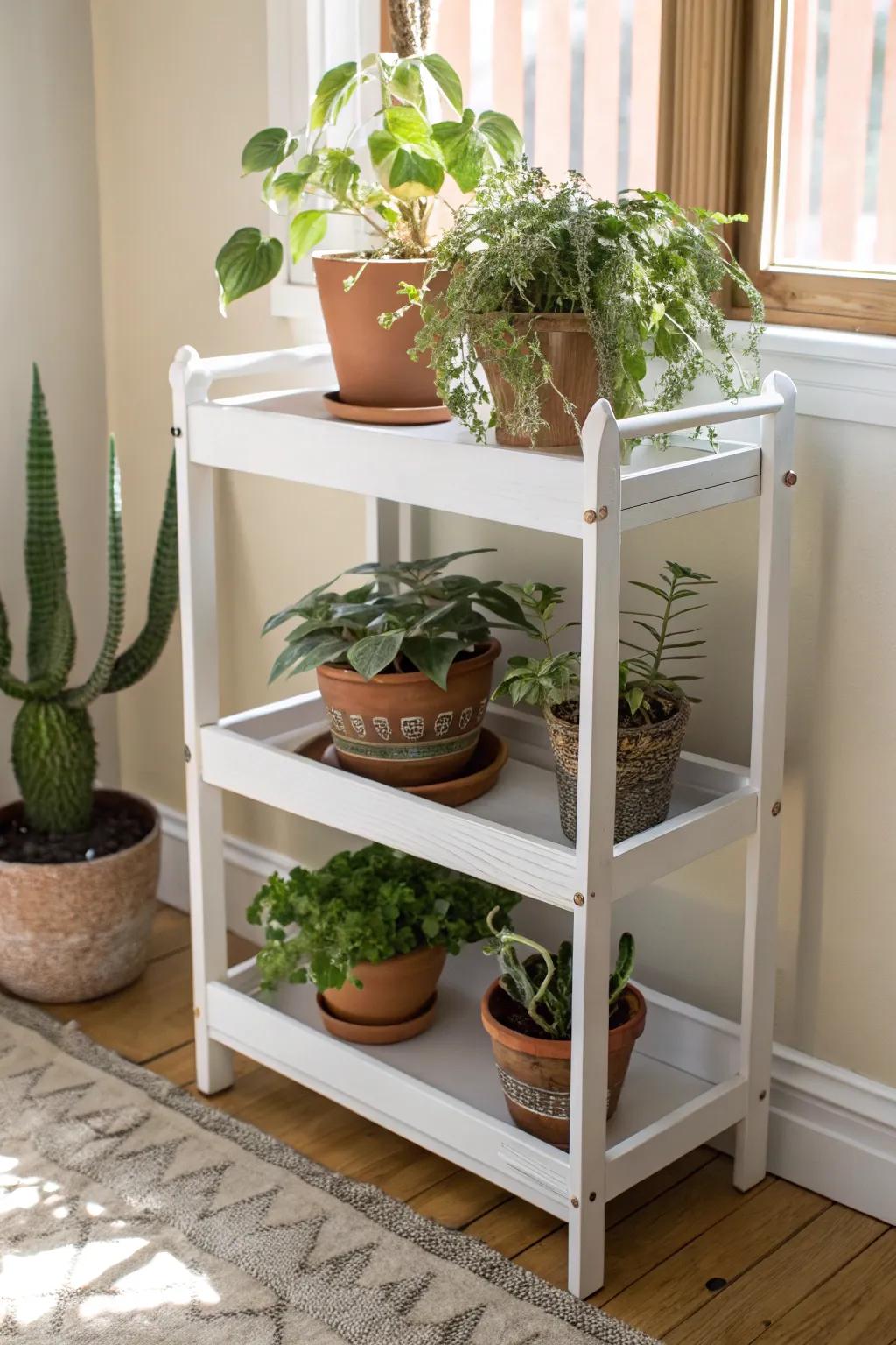 Transform your space with this chic plant stand, where simplicity meets natural beauty.