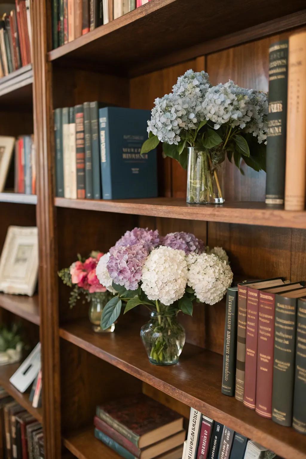 Hydrangeas add color and texture to your bookcase.