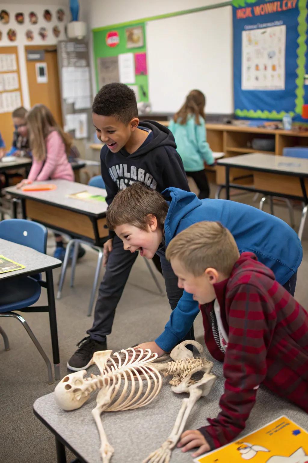 Find and assemble the skeleton in this scavenger hunt!