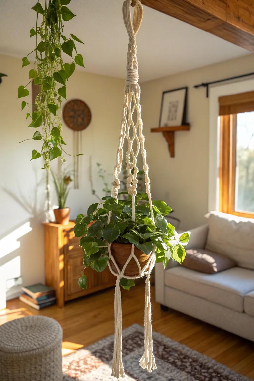 A DIY plant hanger for a boho-chic decor.