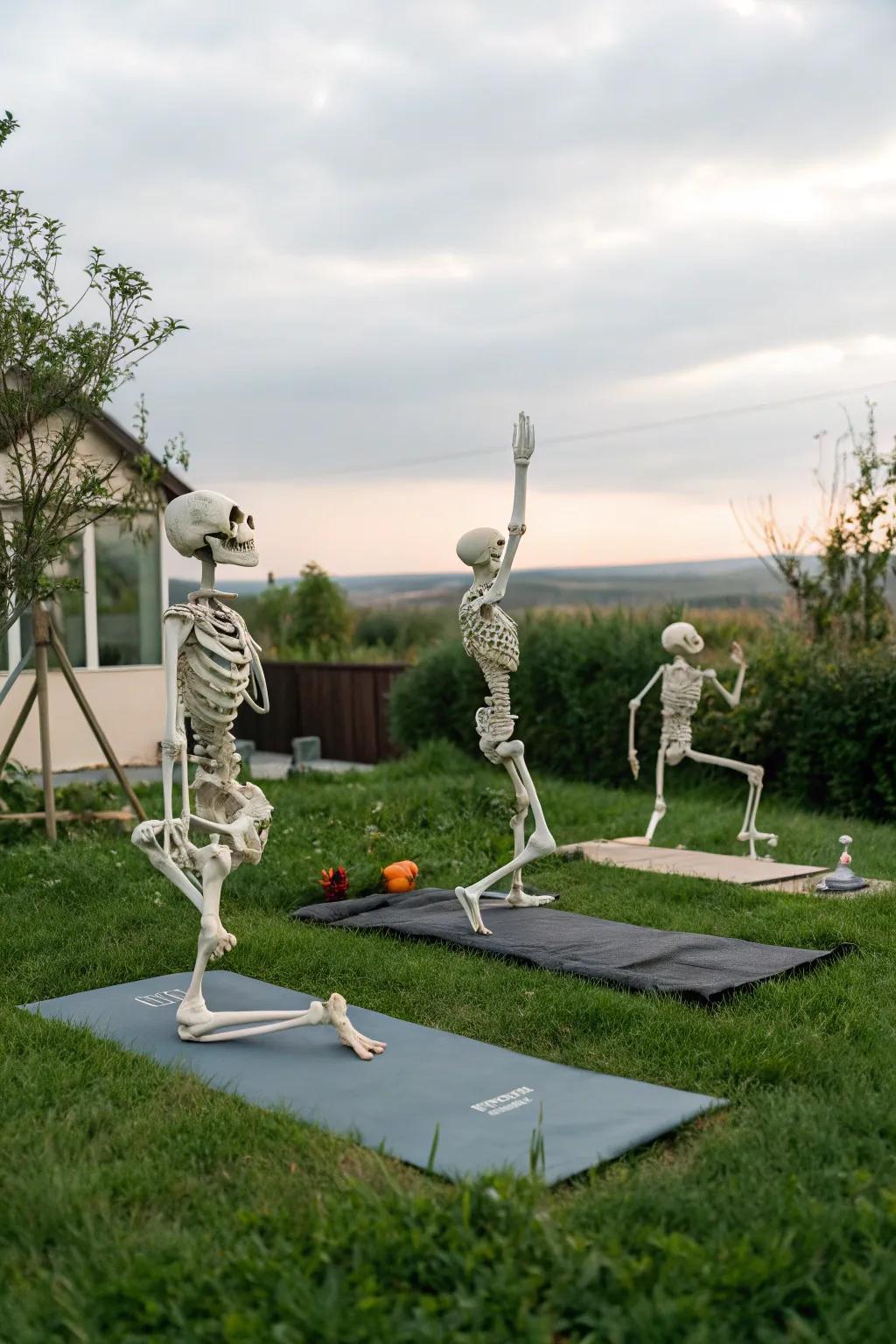 Skeletons in a Peaceful Yoga Session