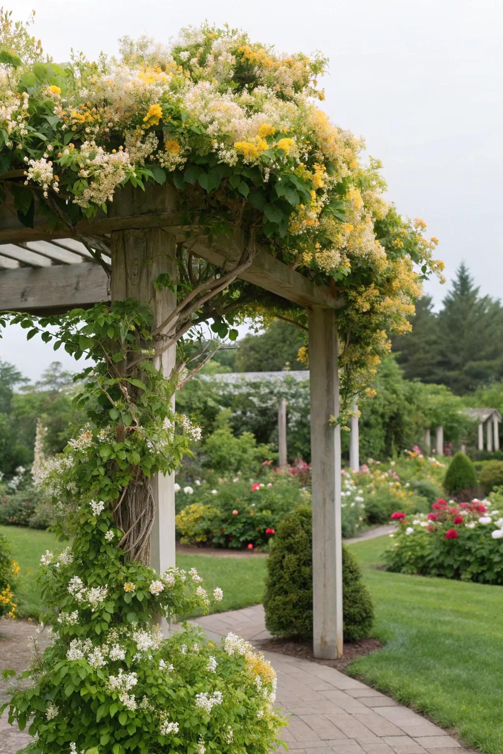 Fragrant climbers enhance the sensory appeal of a trellis arbor.