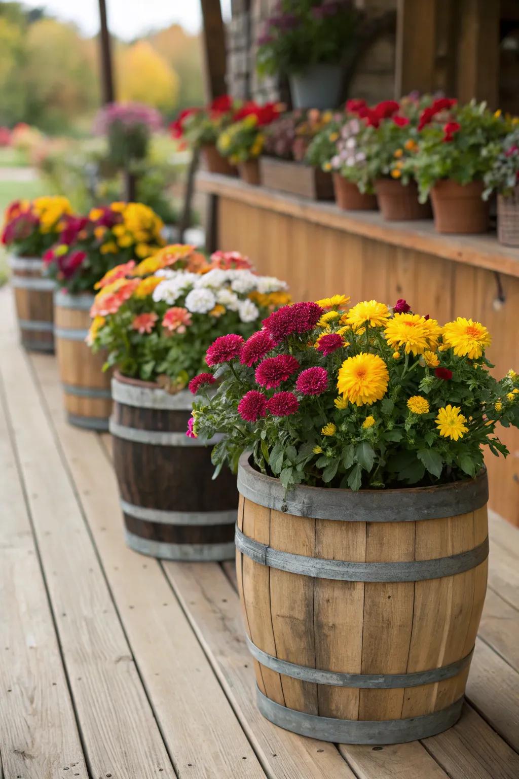 Barrel planters bring a touch of western nostalgia to the table.