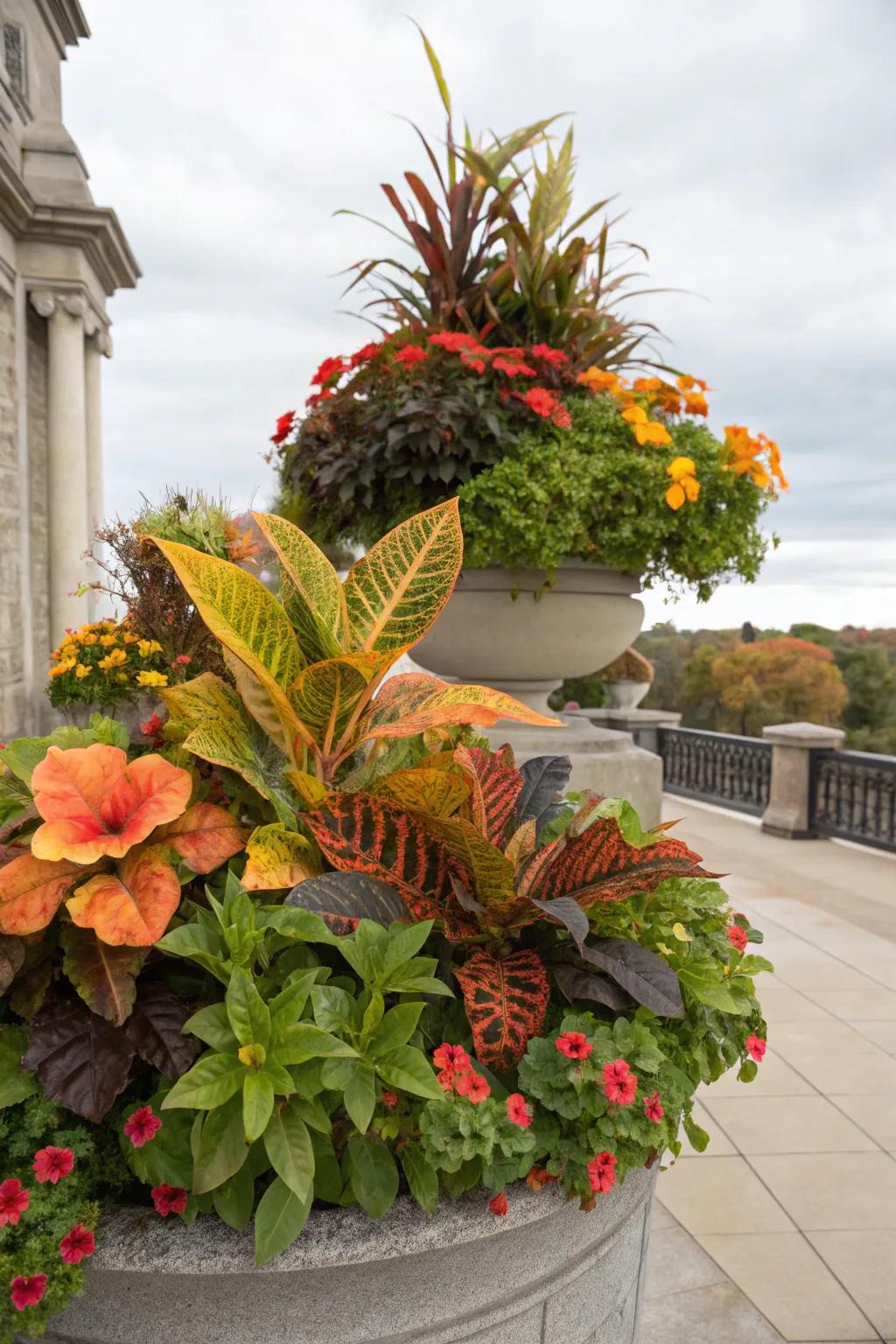 A tropical twist brings unexpected flair to your fall planters.