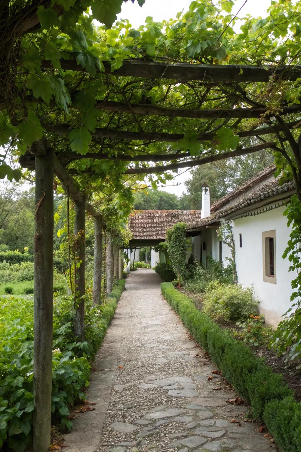 A pergola provides shade and grandeur to this farmhouse walkway.