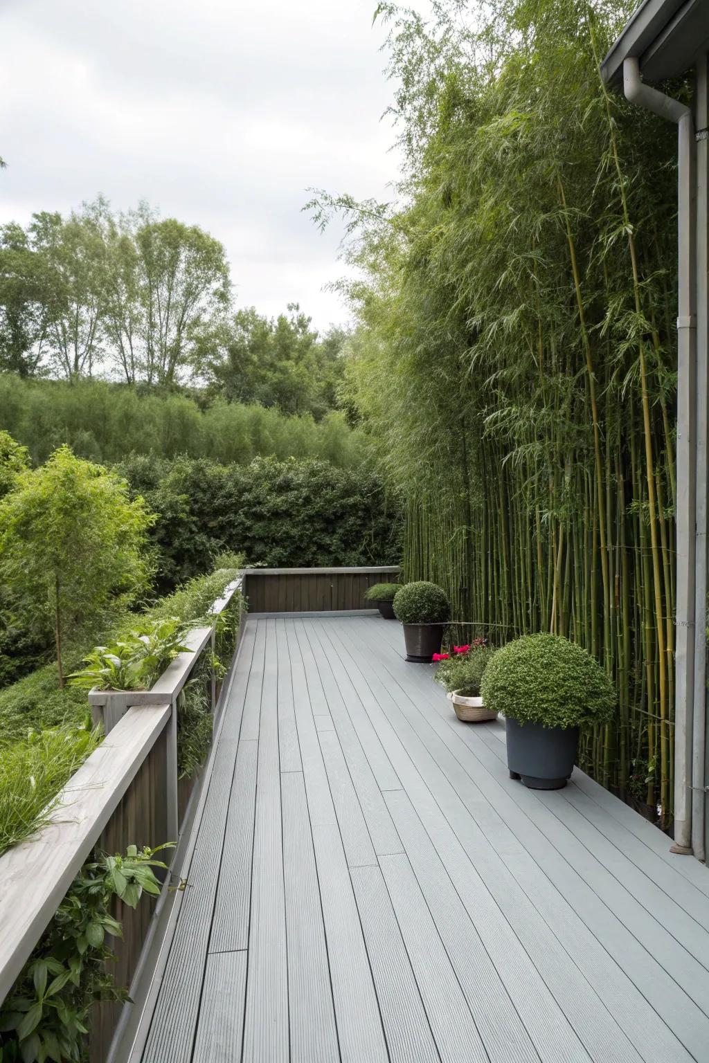 A grey deck transformed into a private oasis with tall greenery.