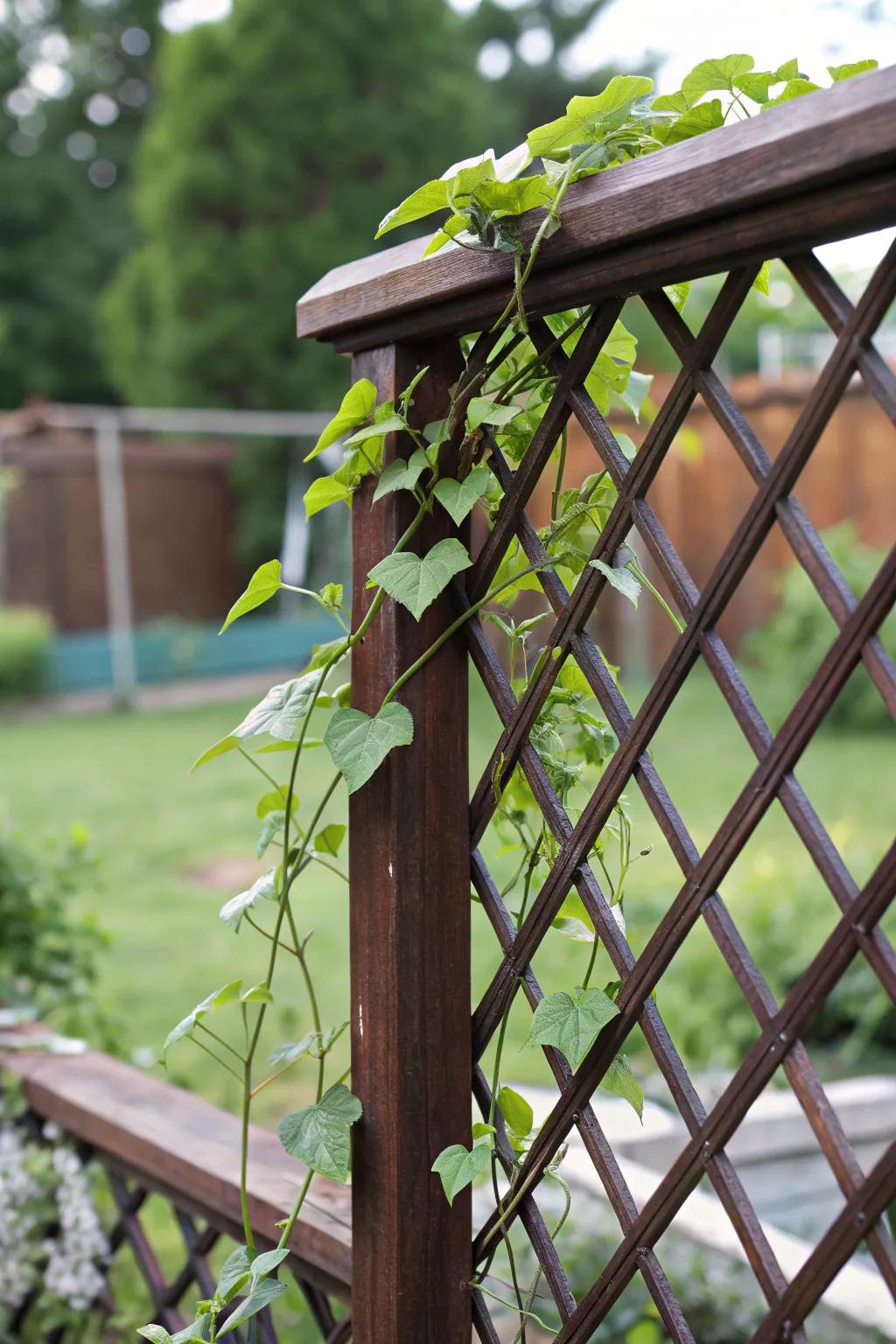 Elevate your fence with a touch of craftsmanship and nature's beauty.