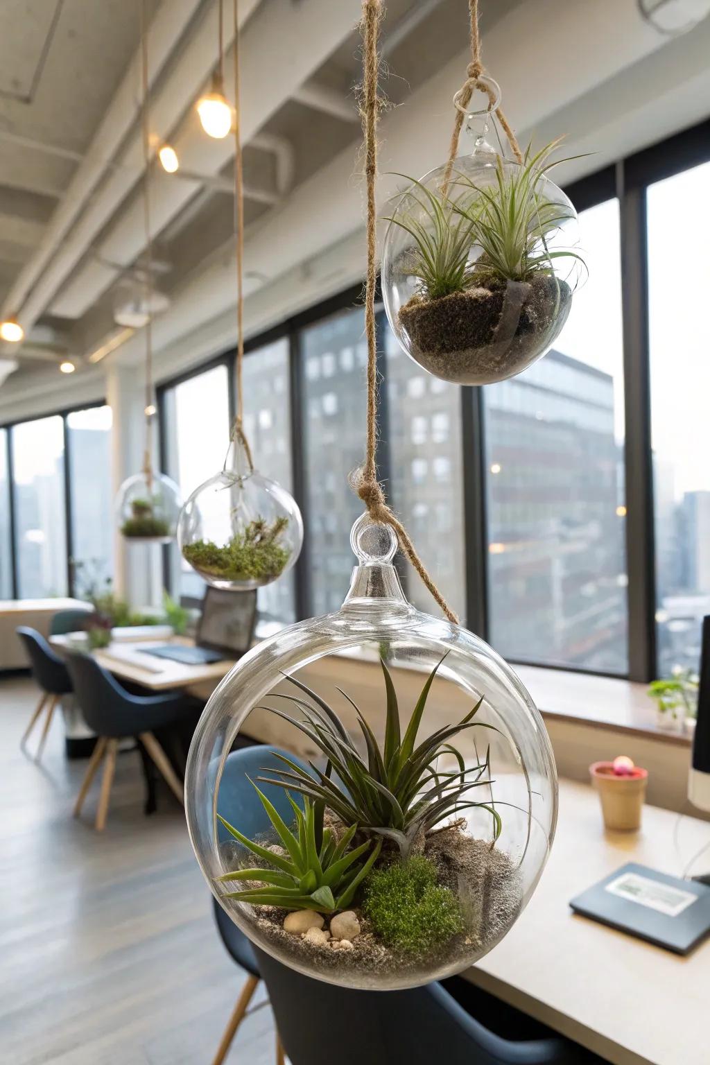 Glass terrariums offer a modern, elegant look for hanging plants.