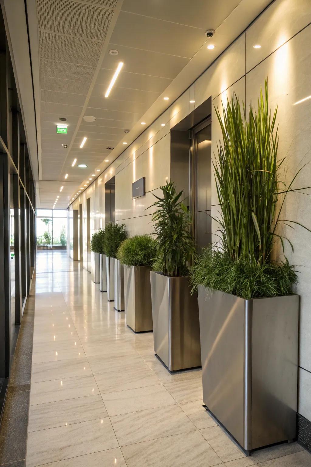 Metal planters enhance modern decor with elegance.