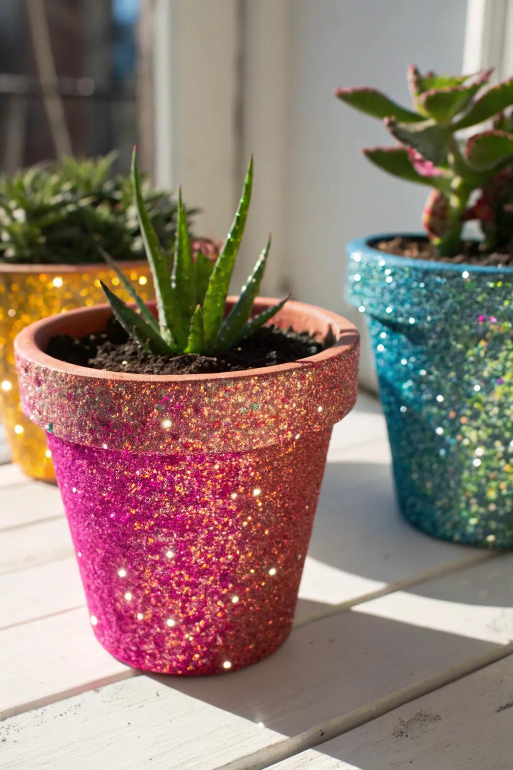 Glitter adds a sparkling, glamorous touch to plant pots.