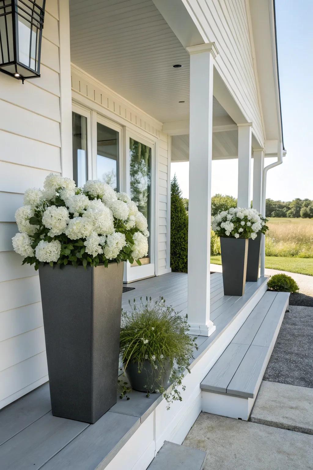 Minimalist whites with alyssum and petunias.