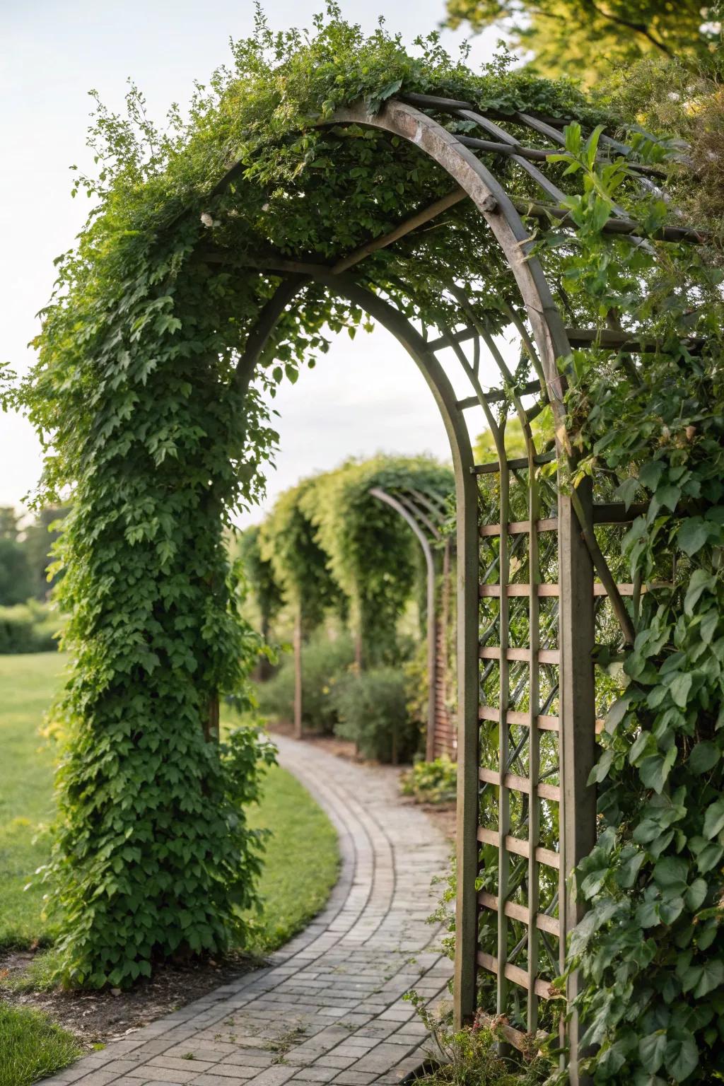 Achieve garden privacy with a lush arch trellis.