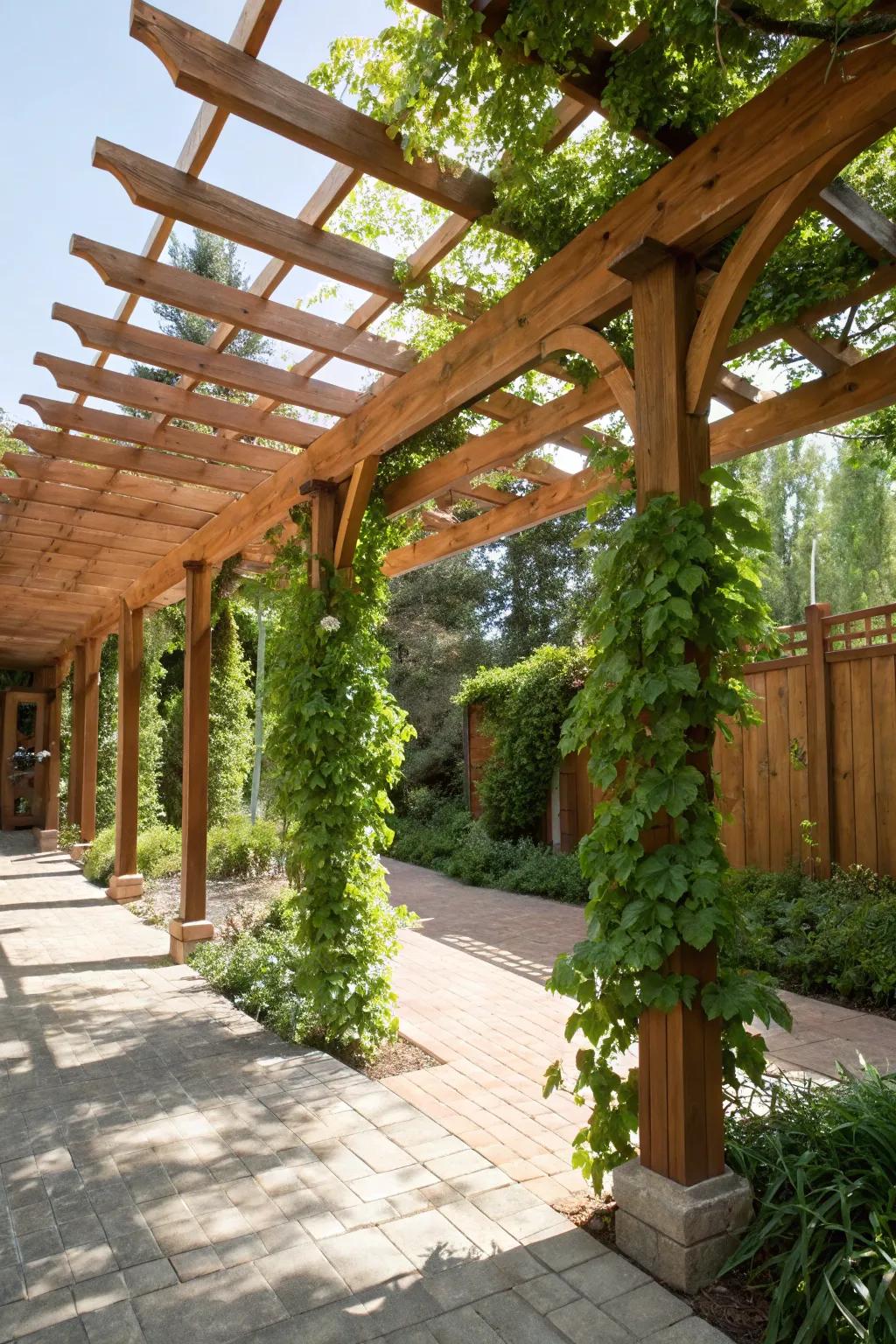 Elevate your outdoor space with a stunning pergola—where craftsmanship meets nature.