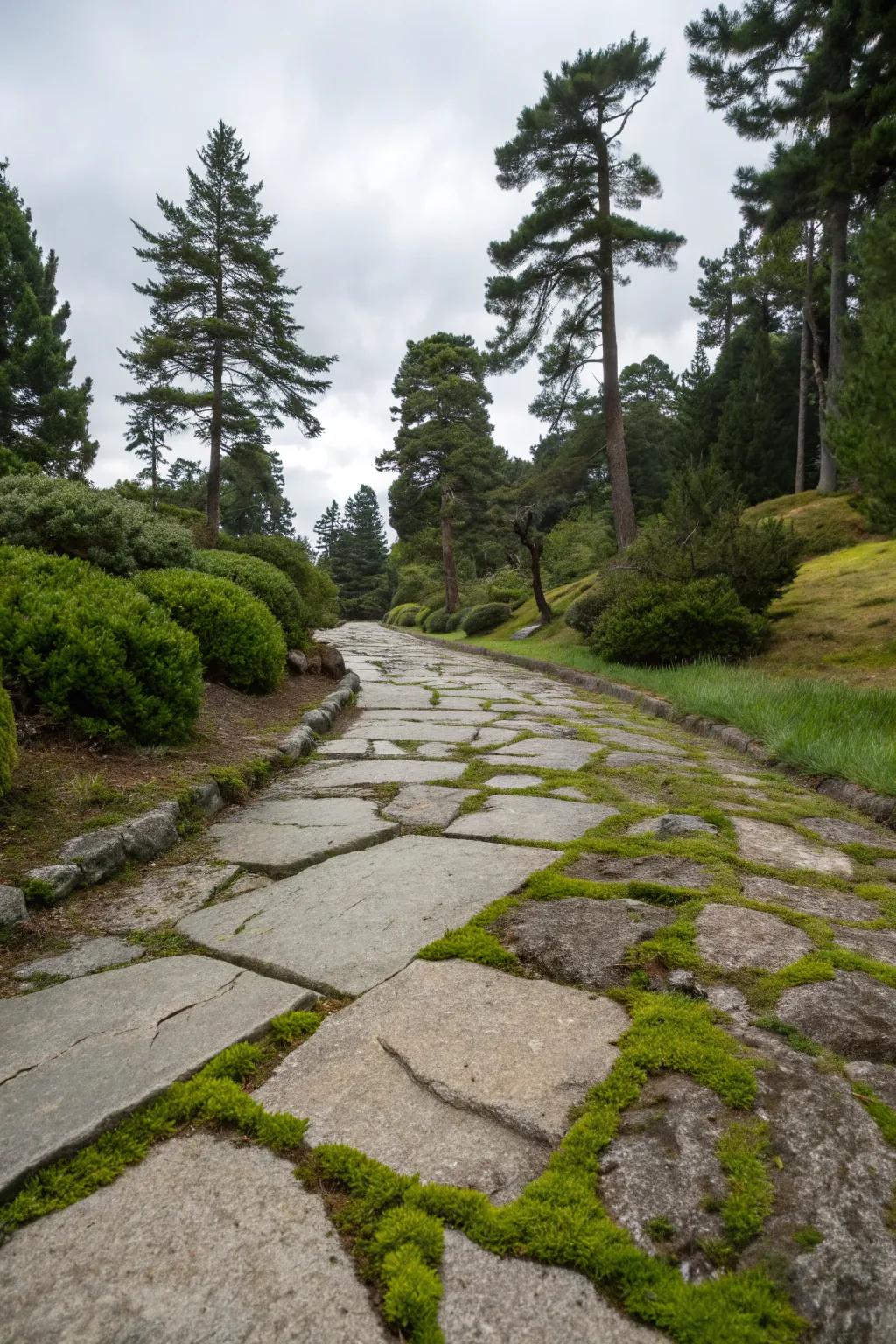 Granite walkway with diverse textures.