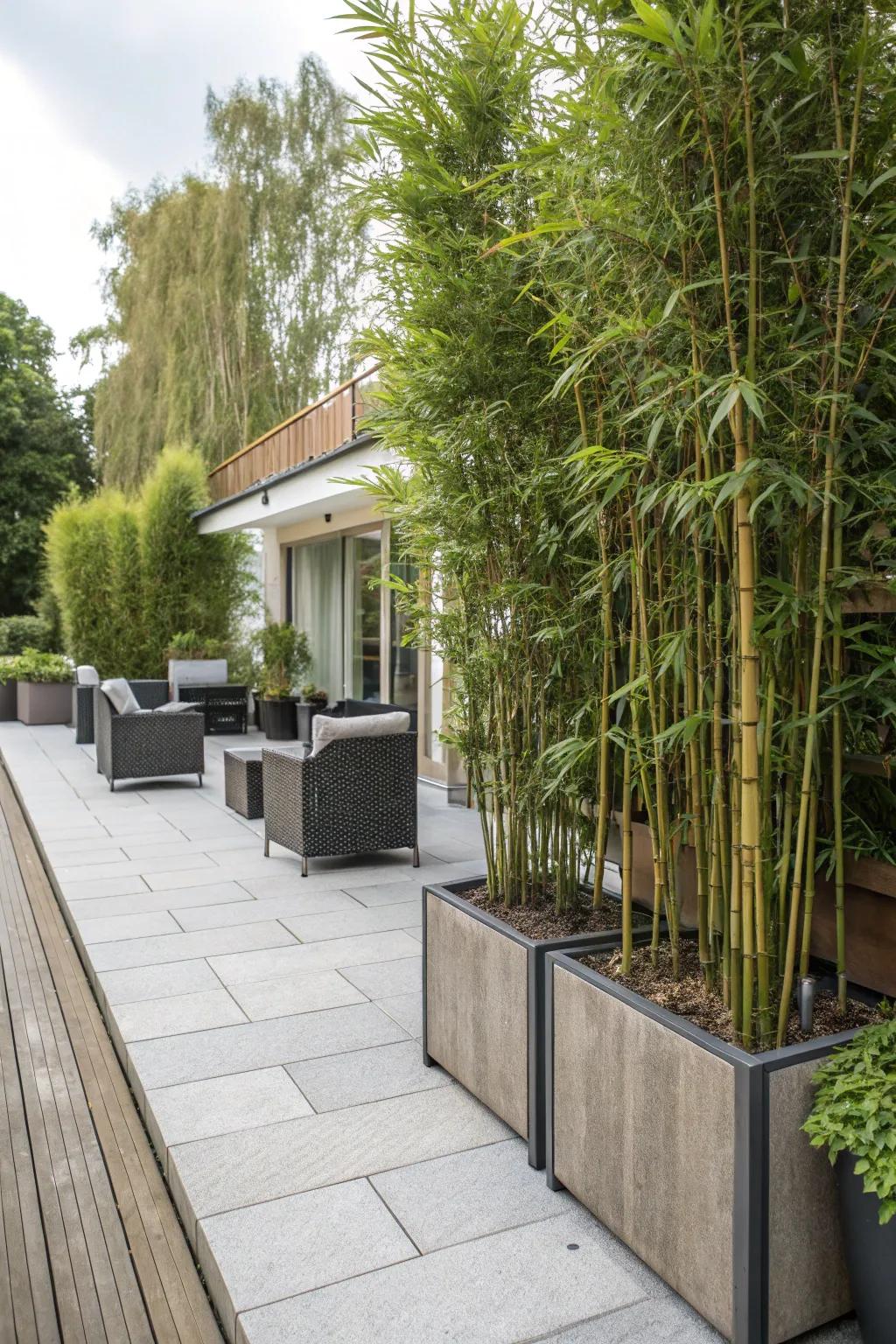 Tall paver planters can create a natural privacy screen.