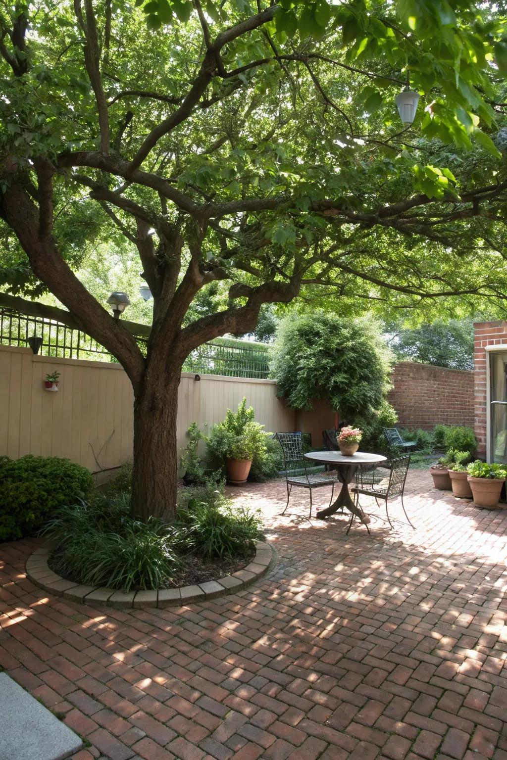 A central tree adds depth and shade to a brick patio.