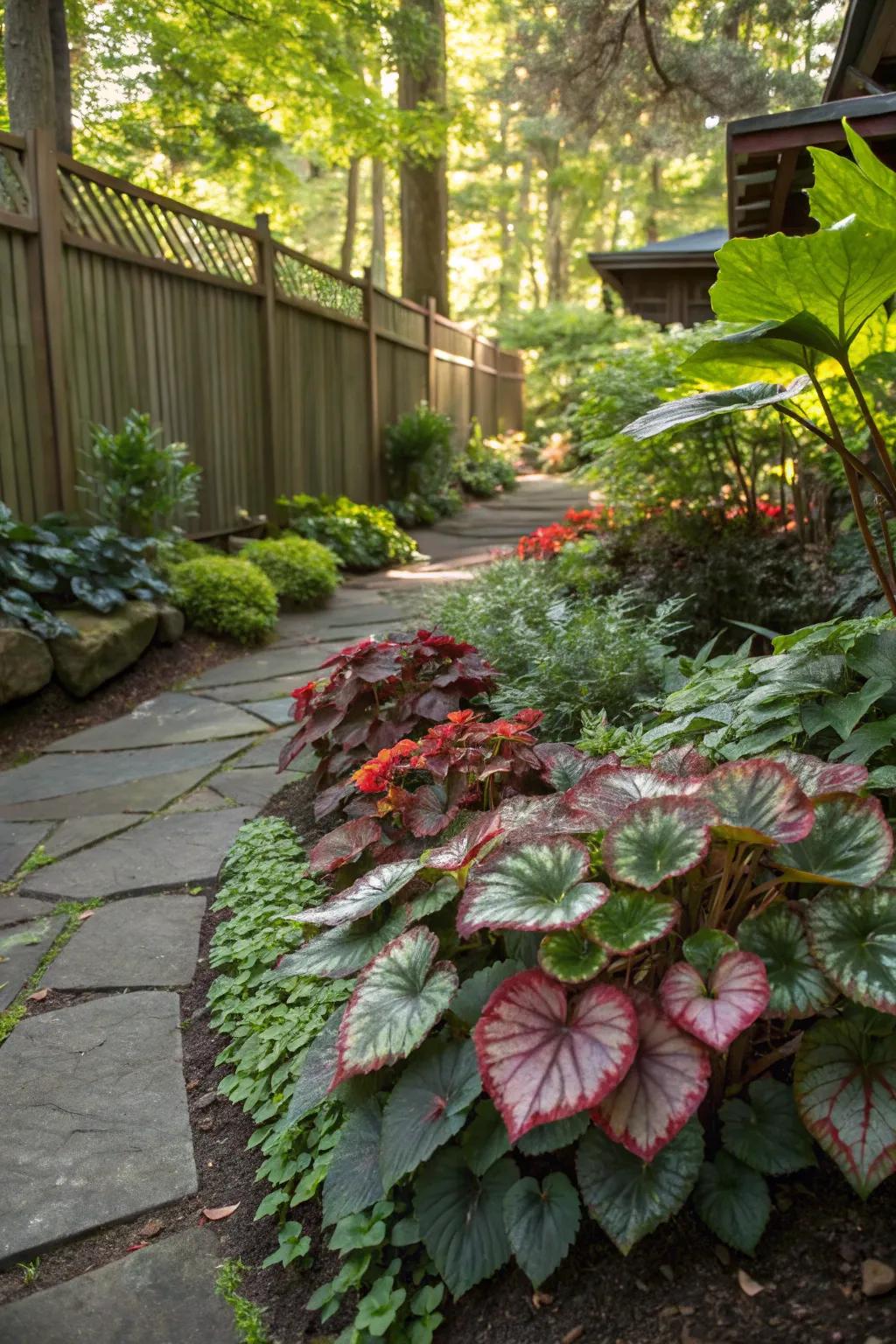 Begonias bring a focus on foliage with unique textures.