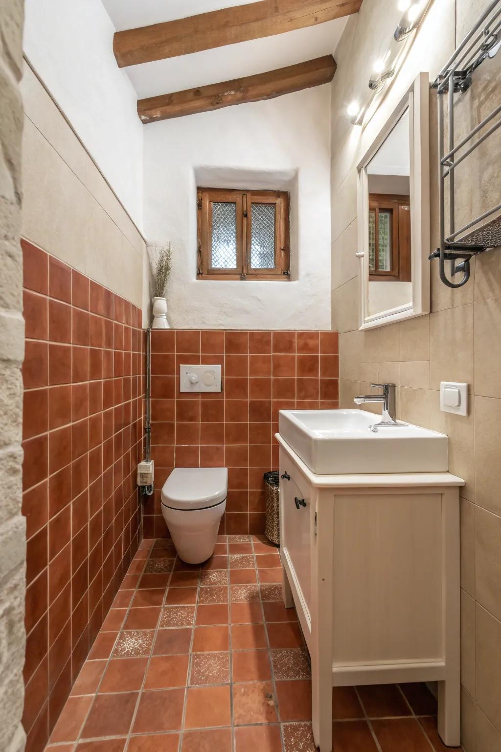 Selective terra cotta accents add warmth to a small bathroom.