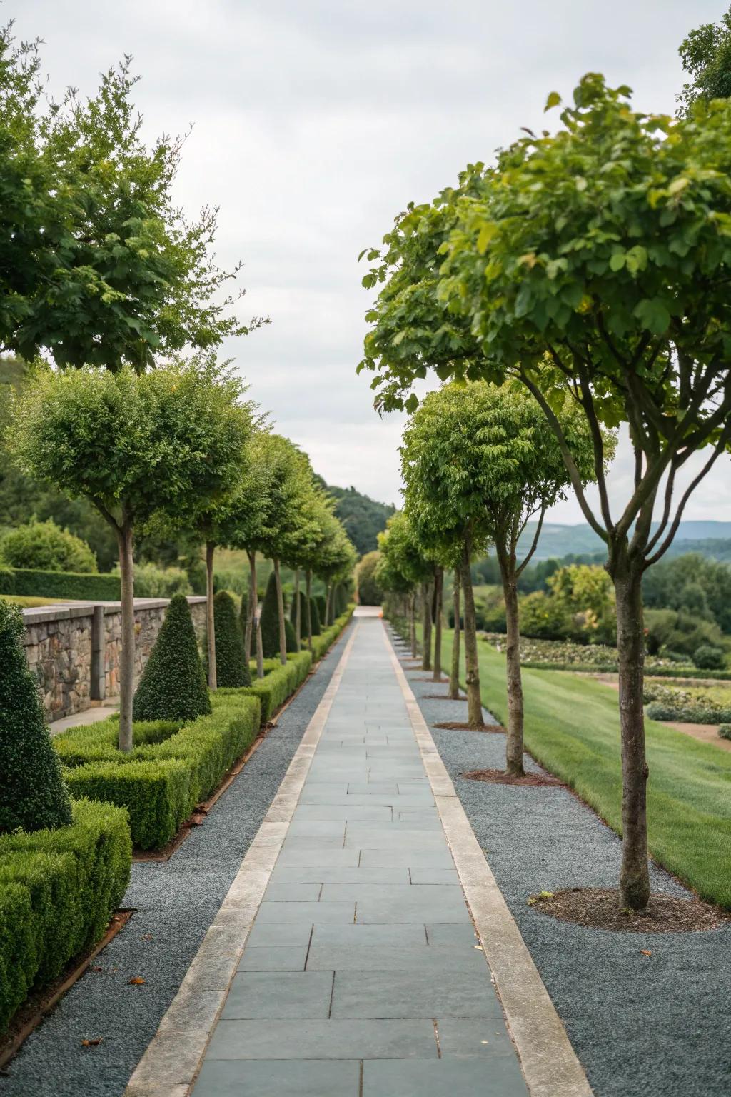 Ornamental trees add elegance and shade to bluestone pathways.