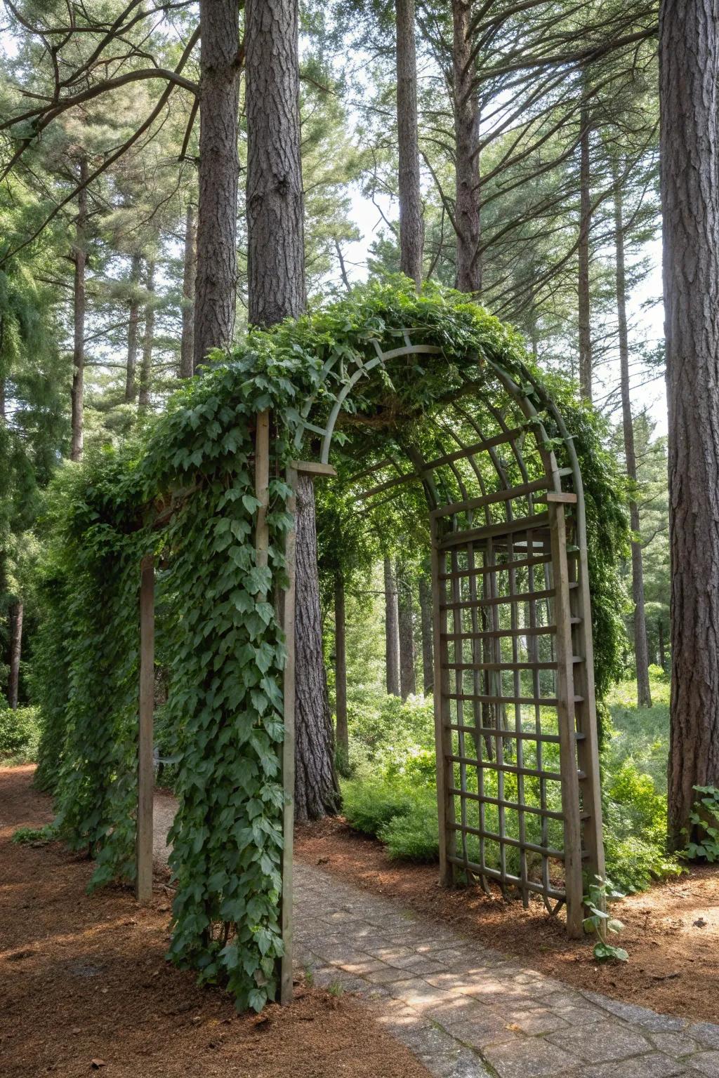 A trellis supports climbing plants, adding depth to the garden.