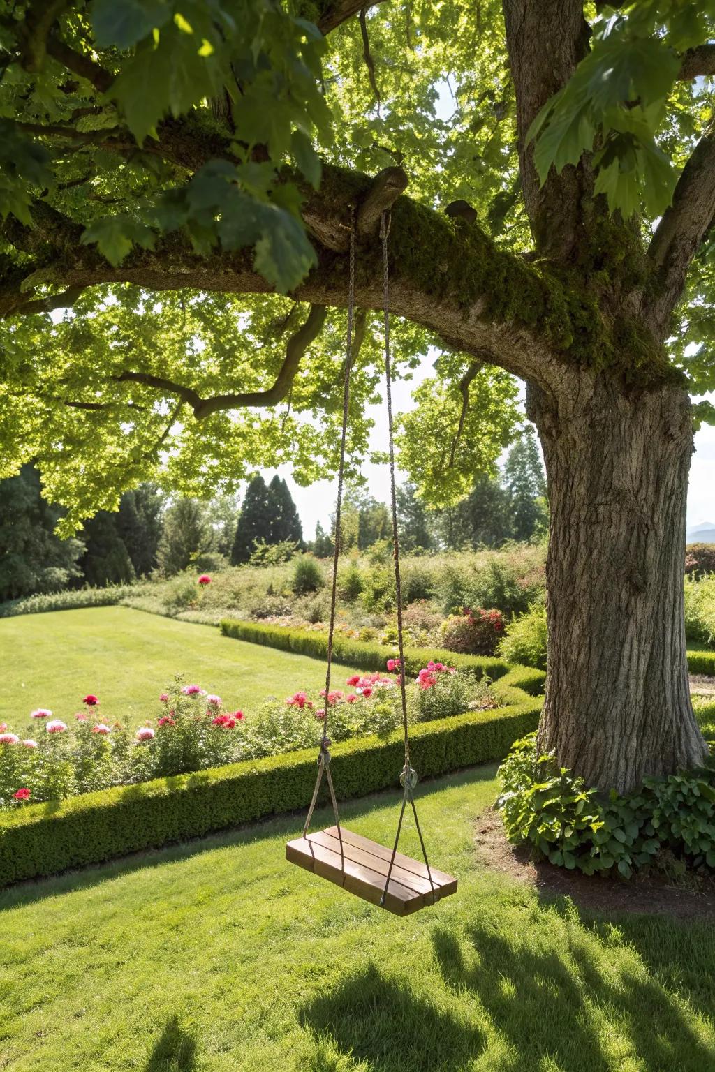 A charming tree-mounted swing offering a rustic appeal in a garden setting.