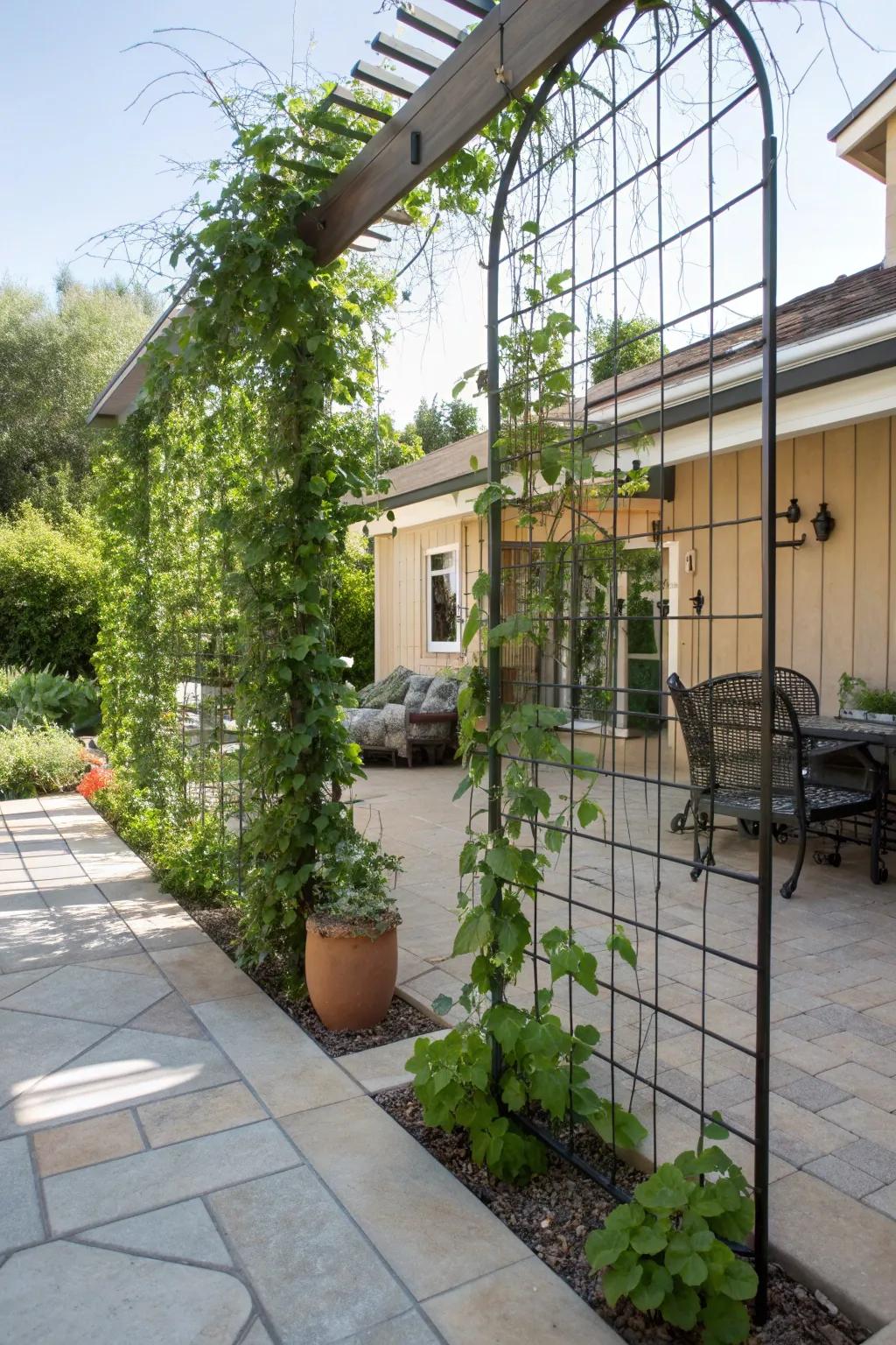 Transform your patio into a private oasis with a stunning hog wire trellis that blends craftsmanship and nature.